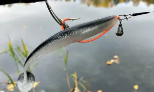 Zander-Montage: Ein Gummifisch mit Haken und Bleikopf hängt an einer Angelschnur über ruhigem Wasser.