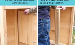 Klatka dla królika DIY: Jak zbudować bezpieczne i przestronne schronienie?