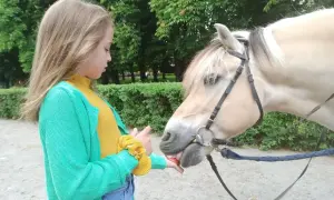 Stadnina Koni Moszna: Odkryj hodowlę, zamek i atrakcje!