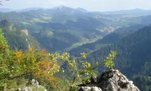 Widok na malownicze szczyty w Pieninach, z doliną i lasami w tle.