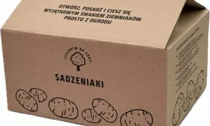 Pudełko z ziemniakami sadzeniakami. Napis "Otwórz, posadź i ciesz się wyjątkowym smakiem ziemniaków prosto z ogrodu". Z pewnością ziemniaki Corinna opinie będą pozytywne!