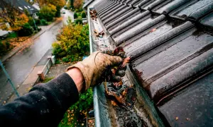Herbstlaub entfernen: Eine Hand mit Handschuh greift Laub aus einer verstopften Dachrinne, um sie zu reinigen.