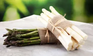 Zwei Bündel roher Spargel, grün und weiß, liegen auf einem Tisch. Ein kleiner Hund schaut neugierig zu.