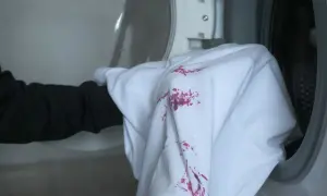 Biała koszulka z plamami po burakach wkładana do pralki. Jak sprać buraki?