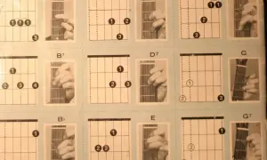 Diagramy z chwyty na gitarę: A7, B7, Bb, D, D7, E, F, G, G7. Nauka gry na gitarze staje się prostsza.