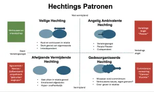 Diagram toont vier hechtingspatronen: veilig, angstig ambivalent, afwijzend vermijdend en gedesorganiseerd. Onveilige hechting wordt hierin uitgelegd.