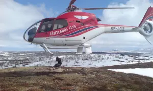 Czerwony helikopter Jämtlands Flyg SE-JOZ wylądował na zaśnieżonym wzgórzu. Fotograf robi zdjęcie, uchwycony przez efekt rolling shutter.