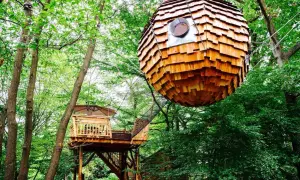 Une cabane sphérique en bois suspendue dans les arbres, à côté d'une autre cabane sur pilotis. Une balade insolite dans la nature.