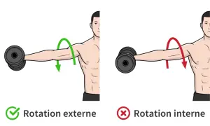 Rotation externe pour muscler les épaules : mouvement correct avec haltère. Rotation interne : mouvement incorrect.