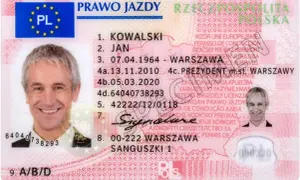 Jak sprawdzić czy ktoś posiada prawo jazdy i uniknąć problemów
