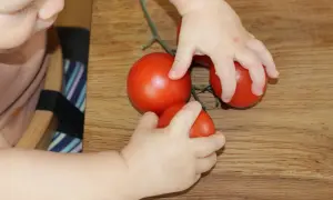 Kleinkind erkundet Tomaten am Stiel. Ab wann darf ein Baby Tomate essen? Hier sind die ersten Erfahrungen.