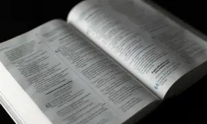 Otwarta Biblia, na której strony czytamy o tym, czy zwierzęta idą do nieba.