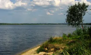 Spokojne, rozległe jezioro z piaszczystym brzegiem i drzewem na pierwszym planie. W oddali widać zalesiony horyzont i kominy.