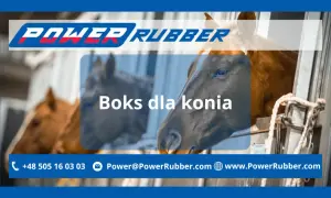 Jak zrobić boks dla konia - kluczowe wskazówki dla bezpieczeństwa i komfortu