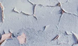 Texture d'un plafond avec peinture écaillée, révélant la couche inférieure rosée. Les craquelures créent un motif abstrait.