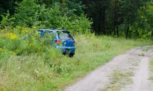 Jak odnaleźć auto w lesie? Sprawdzone sposoby i procedury