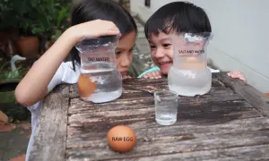 Niños observan experimentos con agua y un huevo. Un huevo flota en agua salada, otro se hunde en agua normal.