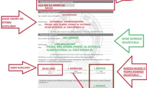 Jak przepisać konia na siebie? Uniknij błędów i zbierz dokumenty