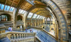 Imponerande interiör i naturhistoriska museet London med storslagna trappor och valv.