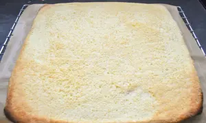 Frisch gebackener Biskuitboden, perfekt für Omas leckeres Biskuitboden Rezept. Leicht und luftig, bereit für süße Füllungen.