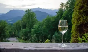 Wino dry co to znaczy? Poznaj smak i różnice w winach