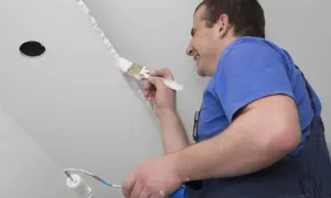 Un peintre applique une peinture blanche au pinceau sur un mur, utilisant un rouleau pour une autre surface. C'est un bon exemple de quel type de peinture pour les murs.