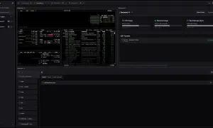 Zarządzanie serwerem Racknerd #1 przez **dostęp SSH**. Widok menedżera serwerów z informacjami o CPU, pamięci i dyskach.
