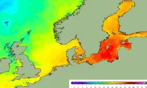 Bałtyk ile stopni - aktualne temperatury wody na polskim wybrzeżu