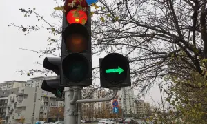 Sygnalizator S2 z czerwonym światłem i zieloną strzałką w prawo. Za nim drzewa i budynki.
