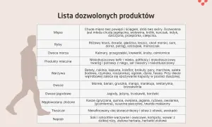 Lista dozwolonych produktów: chude mięso, ryby, owoce morza, produkty mleczne, warzywa, owoce, jagody, węglowodany złożone, tłuszcze (np. olej słonecznikowy, oliwa), napoje.