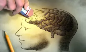 Un borrador elimina parte de un cerebro dibujado, sugiriendo la memoria selectiva. Un lápiz descansa cerca.