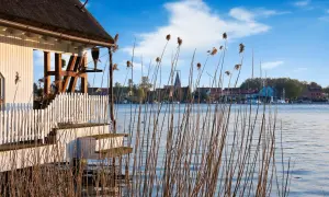 Reetgedecktes Haus am Plauer See mit Blick auf die Stadt und den Kirchturm. Schilf wiegt sich im Wasser.