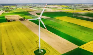 Wiatrak na tle pól rzepaku i zbóż. Nowa ustawa wiatrakowa wspiera takie inwestycje w zieloną energię.