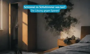 Schimmel im Schlafzimmer: Symptome und Lösungen. Dunkle Flecken an der Wand, ein Kleiderschrank und ein Bett.