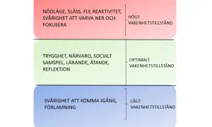 Diagrammet visar tre nivåer av vakenhetstillstånd: högt (nödläge, svårt att fokusera), optimalt (trygghet, närvaro, lärande) och lågt (svårt att komma igång, förlamning).