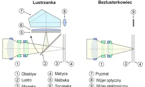Bezlusterkowiec czy lustrzanka? Który aparat jest dla Ciebie?