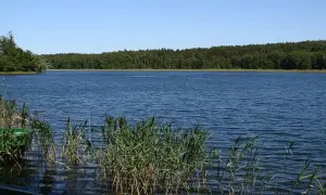 Idealne jezioro w Kujawsko-Pomorskiem? Znajdź je z ekspertem!
