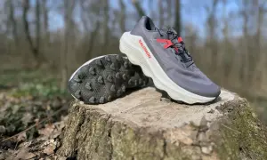 Szare buty trailowe Salomon Ultra Glide 3 z czerwonymi akcentami stoją na pniu drzewa w lesie.