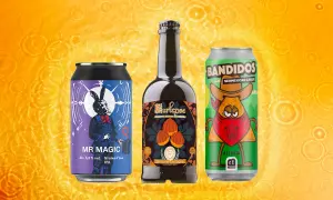 Scopri quali sono le birre senza glutine: Mr. Magic IPA e la birra alle castagne Gurlepse. Bandidos è una lager.