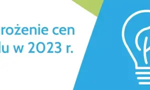 Skąd pobrać wniosek o zamrożenie cen prądu i uniknąć wysokich rachunków