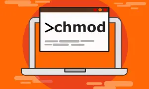Laptop z otwartym terminalem, na którym widać komendę `chmod`. To narzędzie pozwala zarządzać uprawnieniami plików, niczym korzeń drzewa kontrolujący swoje gałęzie.