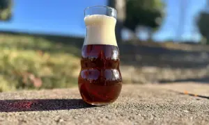 Szklanka z pianką, w środku bursztynowe piwo amber ale, odbijające domki.