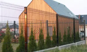 Nowy dom otoczony najprostszym ogrodzeniem. Wzdłuż siatki rosną tuje i kwitnące krzewy.