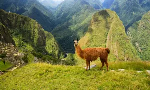 Kiedy jechać do Peru? Odkryj najlepsze miesiące na podróż