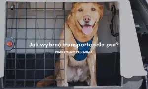 Transporter dla szczeniaka: jak wybrać idealny model dla pupila