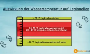 Thermische Desinfektion: Über 60°C sterben Legionellen. Unter 20°C vermehren sie sich kaum.