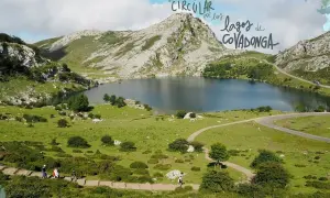 Un perro disfruta de la ruta circular por los lagos de Covadonga, con un paisaje montañoso y un lago sereno.