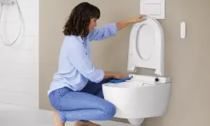 Donna pulisce il WC con un panno blu. Per una pulizia profonda, usa ammoniaca per pulire wc.