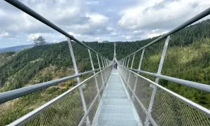Długa, wisząca konstrukcja Sky Bridge 721 wznosi się nad lasem. Ludzie spacerują po moście, podziwiając widoki.