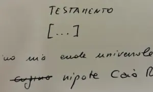 Testamento olografo non registrato: "Nomino mio erede universale mio cugino nipote Caio Ron". La validità è garantita dalla forma.
